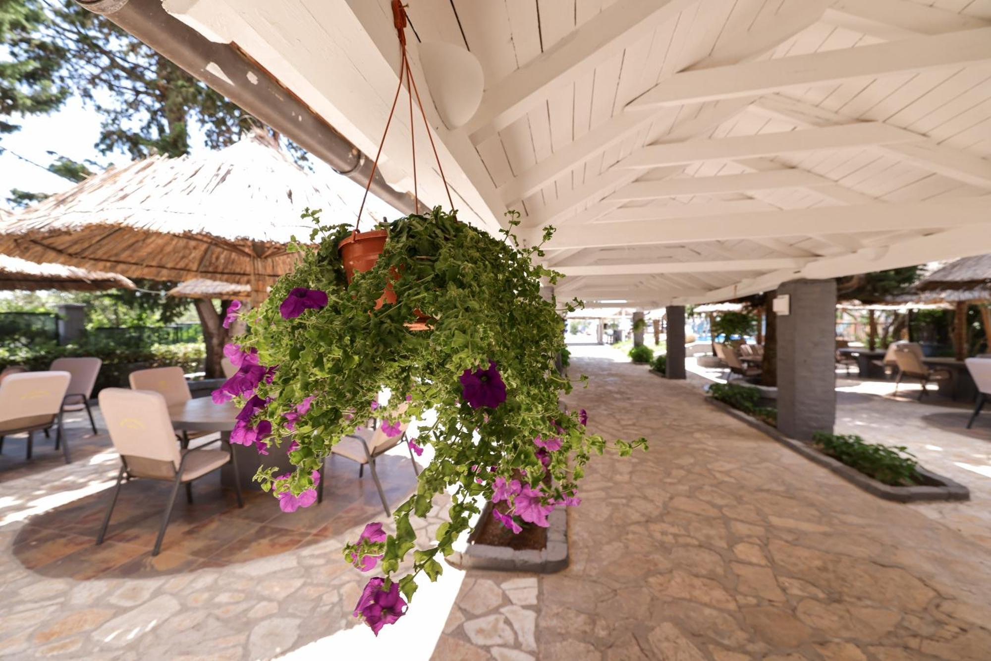 Tribunia Beach Hotel Tribalj Exterior foto